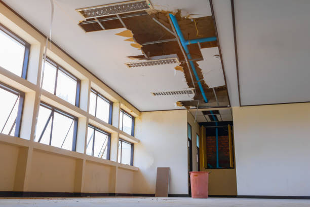 Best Mold removal after water damage  in Queens Gate, PA