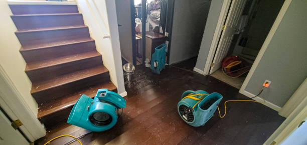 Best Fire Damage Restoration  in Queens Gate, PA