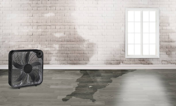 Best Sewage cleanup and water damage restoration  in Queens Gate, PA