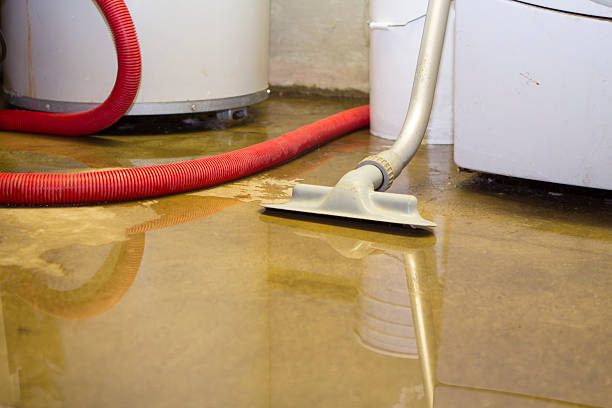  Queens Gate, PA Water damage restoration Pros