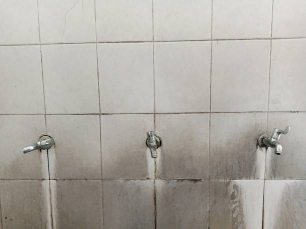 Best Fire Damage Restoration  in Queens Gate, PA