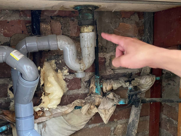 Water damage restoration mold remediation in Queens Gate, PA