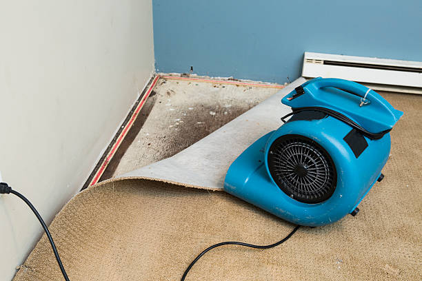 Best Flood damage cleanup  in Queens Gate, PA